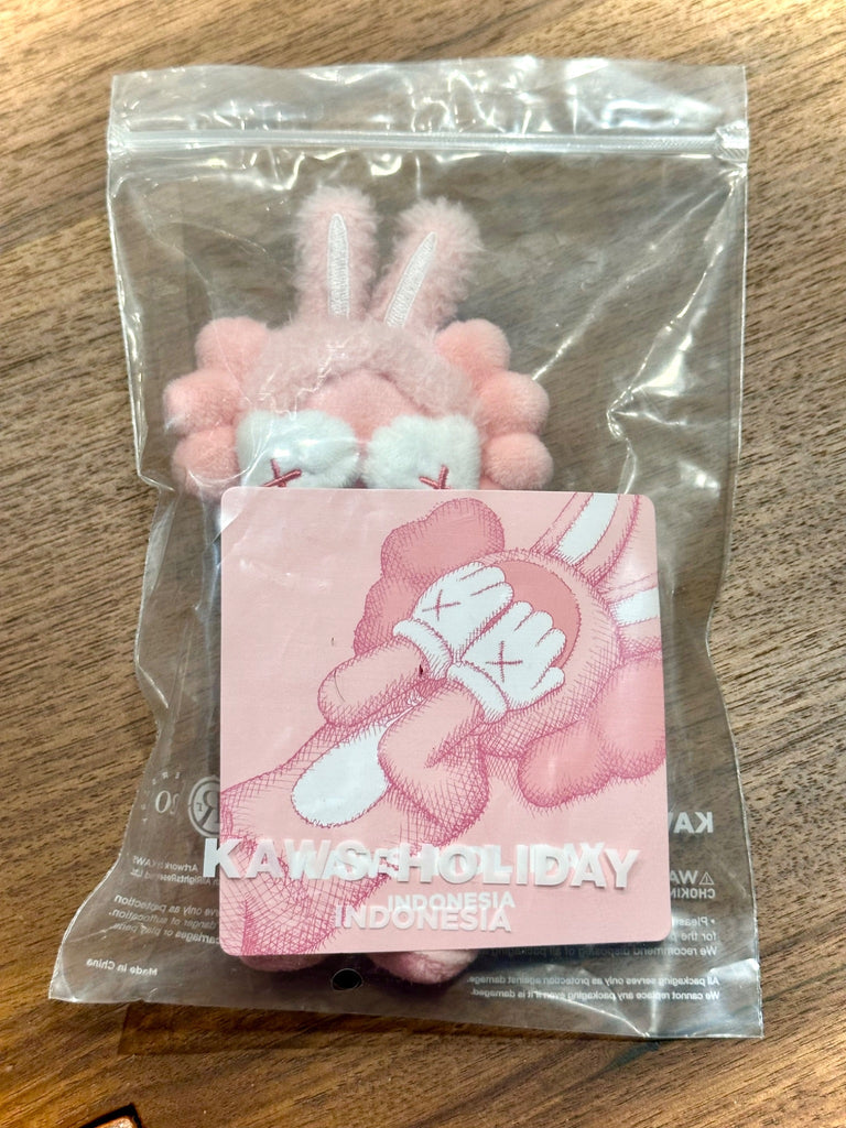 送料無料！KAWS ACCOMPLICE KEYHOLDER（Pink） 送料無料！KAWS ACCOMPLICE KEYHOLDER（Pink） (KAWS