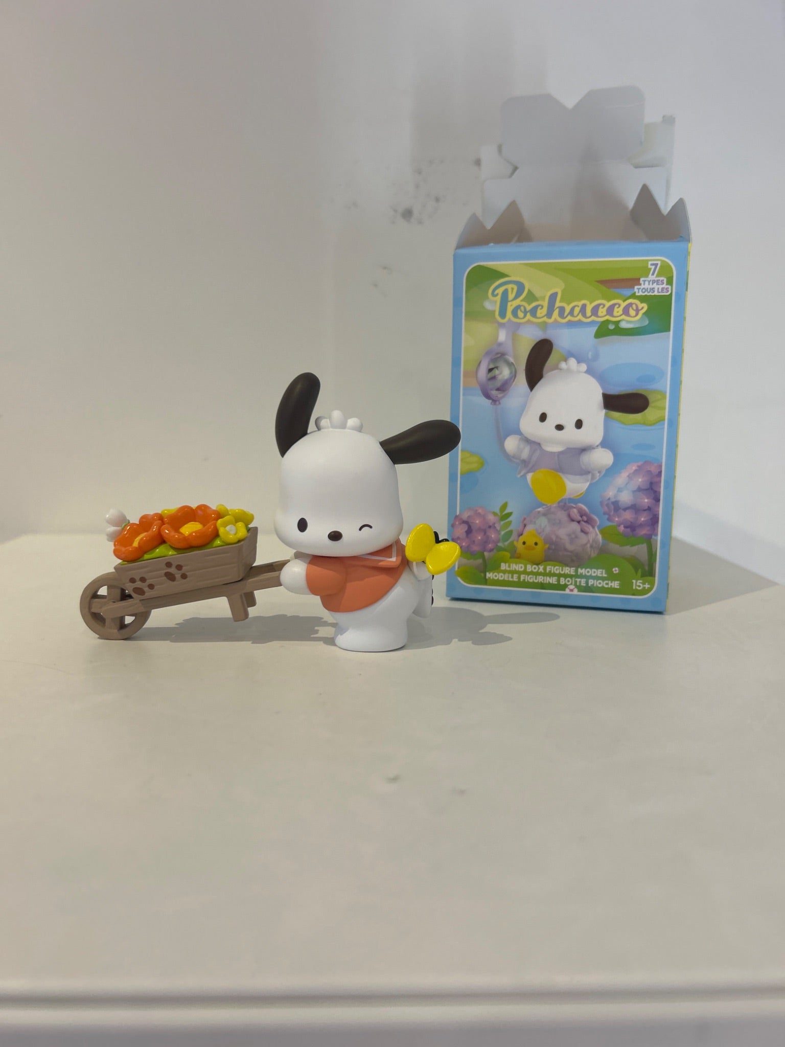 Pochacco flower and childhood  - 1