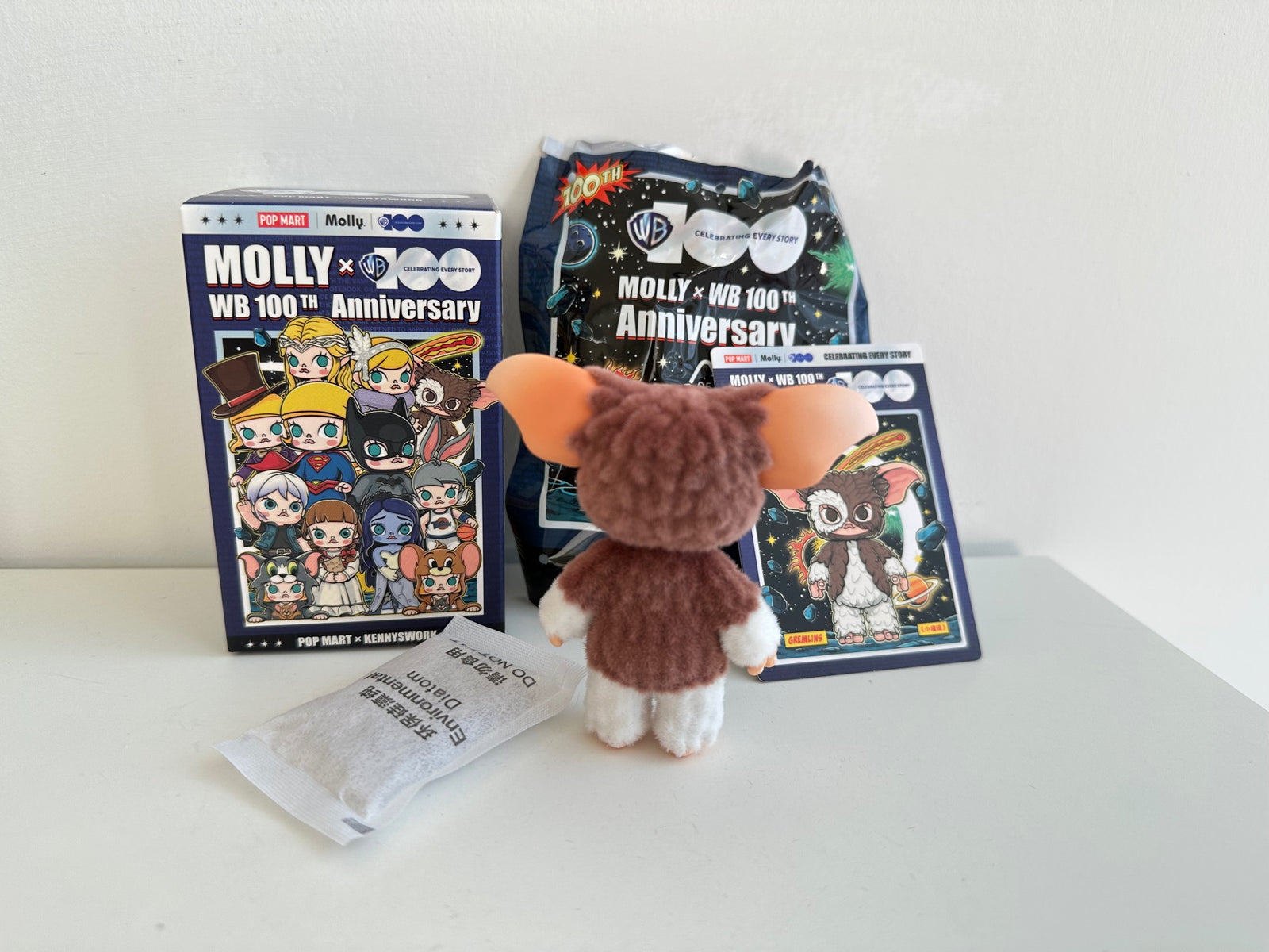 GREMLINS - MOLLY x Warner Bros. 100th Anniversary Blind Box