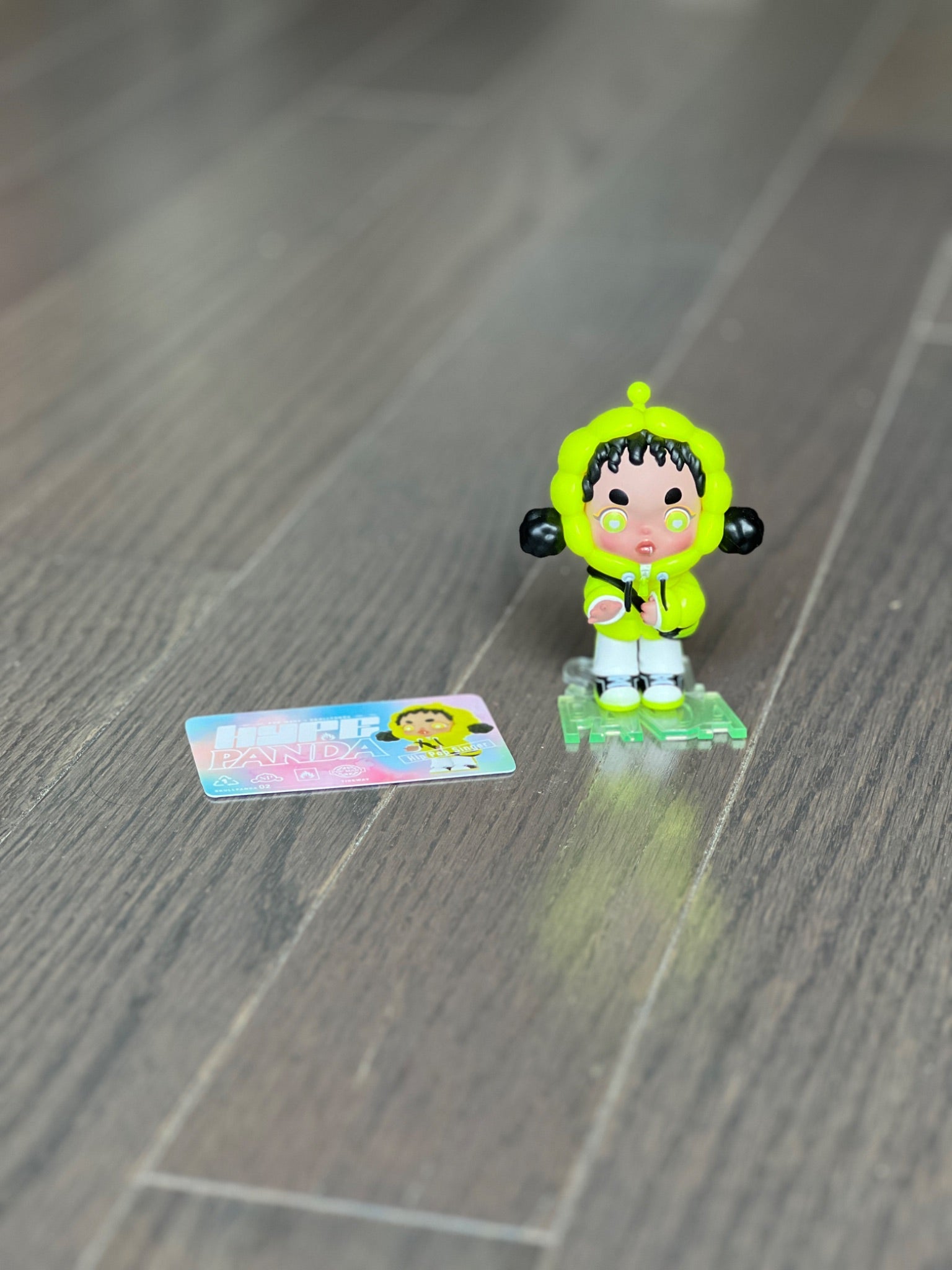 Hip Pop Singer - POP MART Skullpanda Hypepanda Series Fashion Blind Box - 1