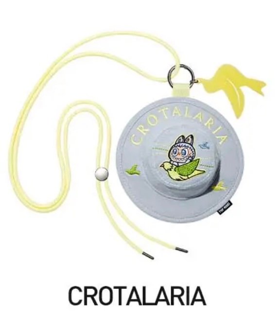 652eb54139e4ab4dc3c1b6b7_crotalaria_1754493822541.jpg