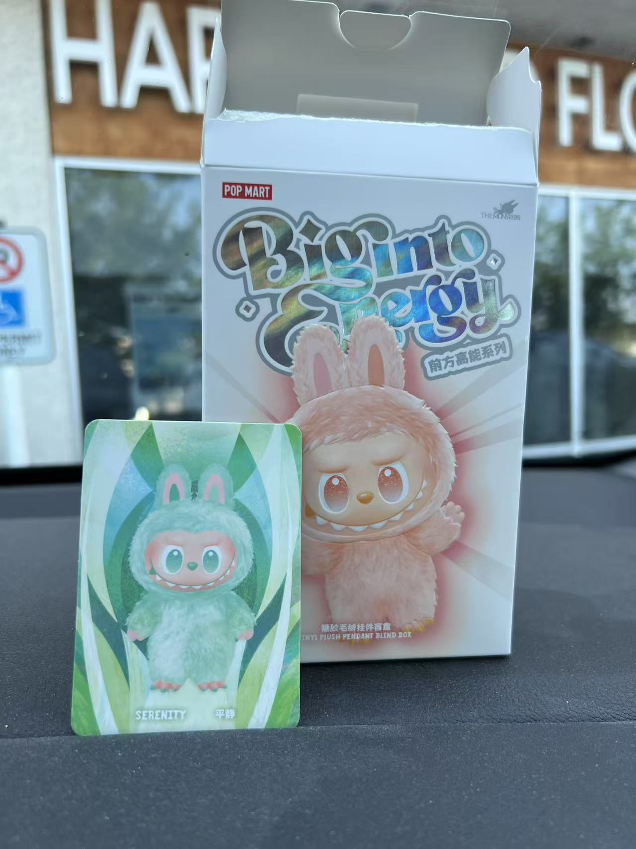 popmart labubu serenity 平静 SERENITY - THE MONSTERS Labubu Big into Energy Series by POP