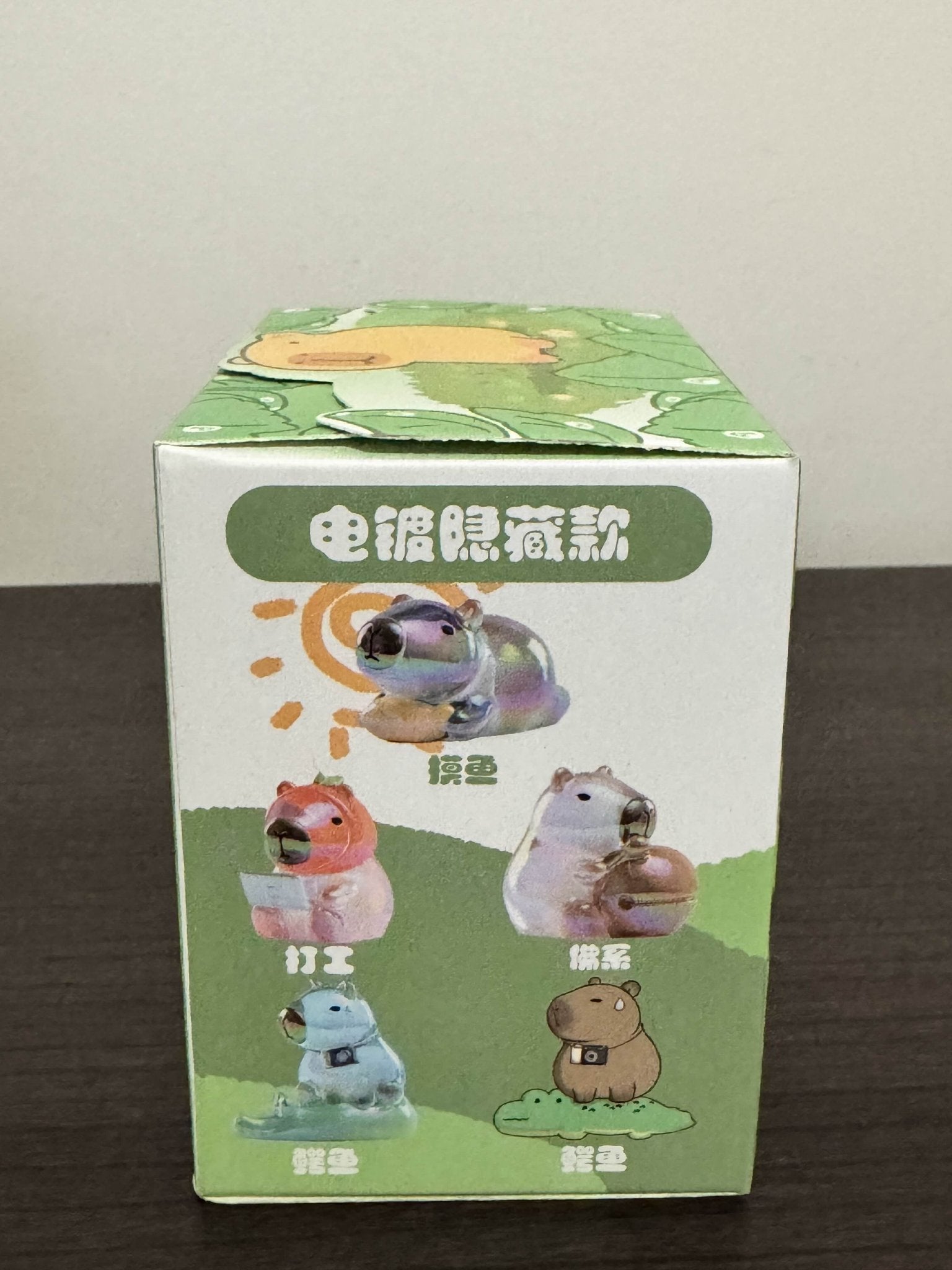 KAPIBARA Kapibara the Capybara Blind Box Series - Mindzai Toy Shop