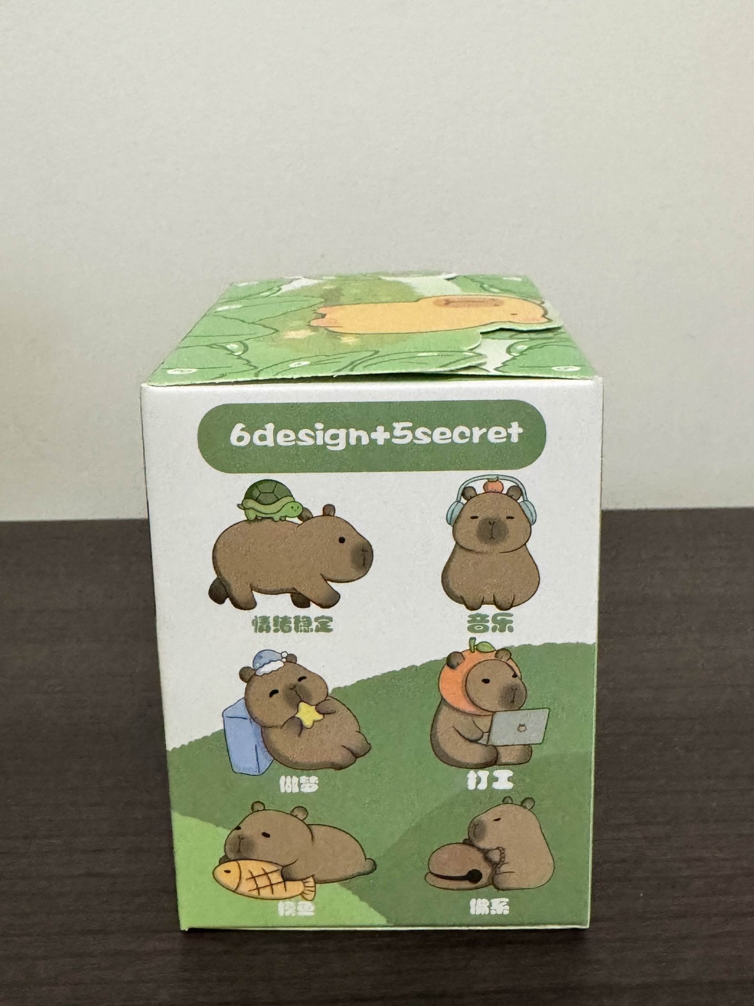 KAPIBARA Kapibara the Capybara Blind Box Series - Mindzai Toy Shop