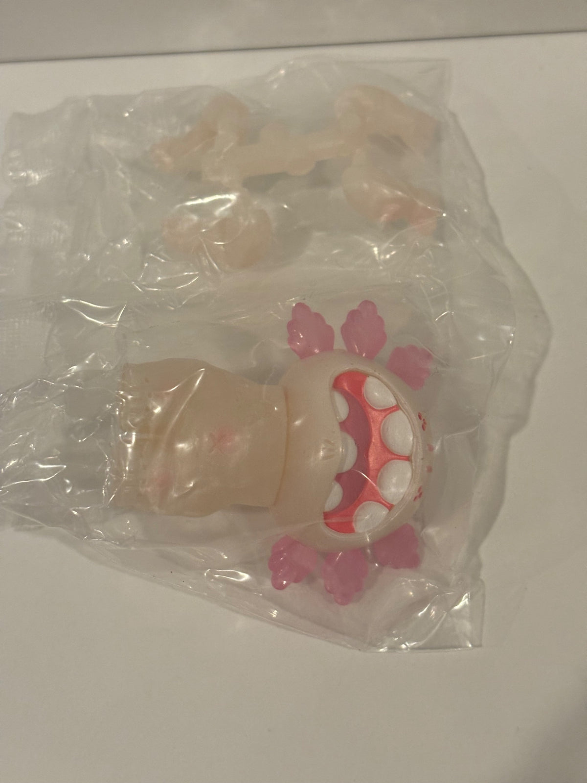 652eb54139e4ab4dc3c1b6b7_img-5148_1756511495163.jpeg