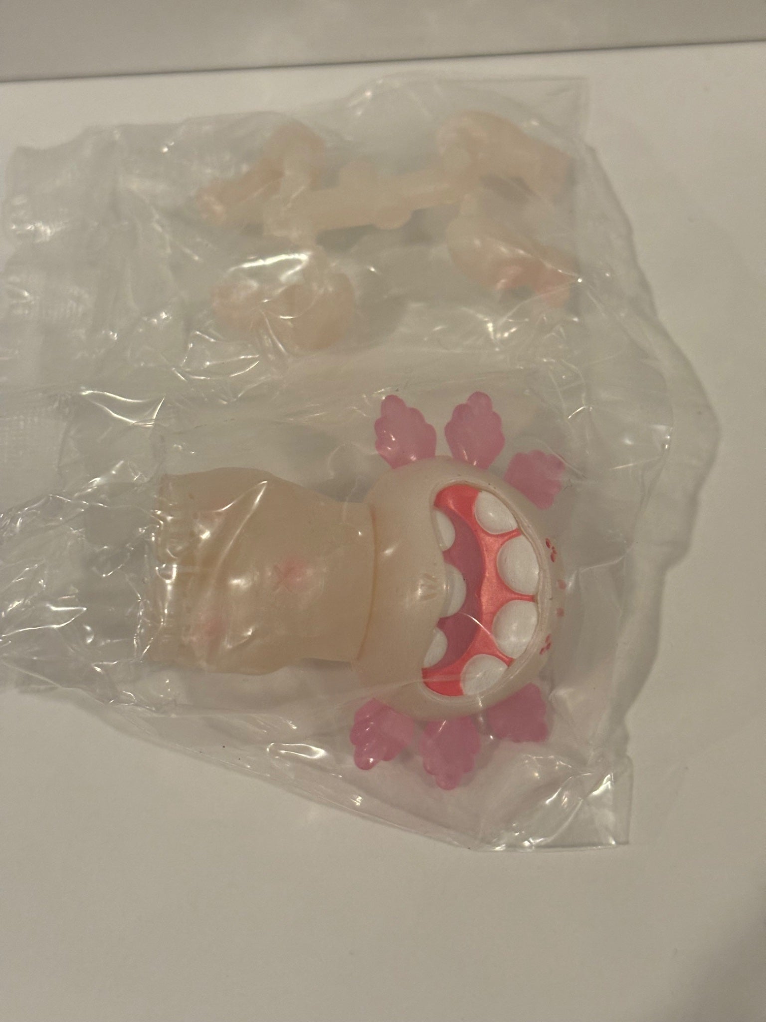 652eb54139e4ab4dc3c1b6b7_img-5148_1756511495163.jpeg