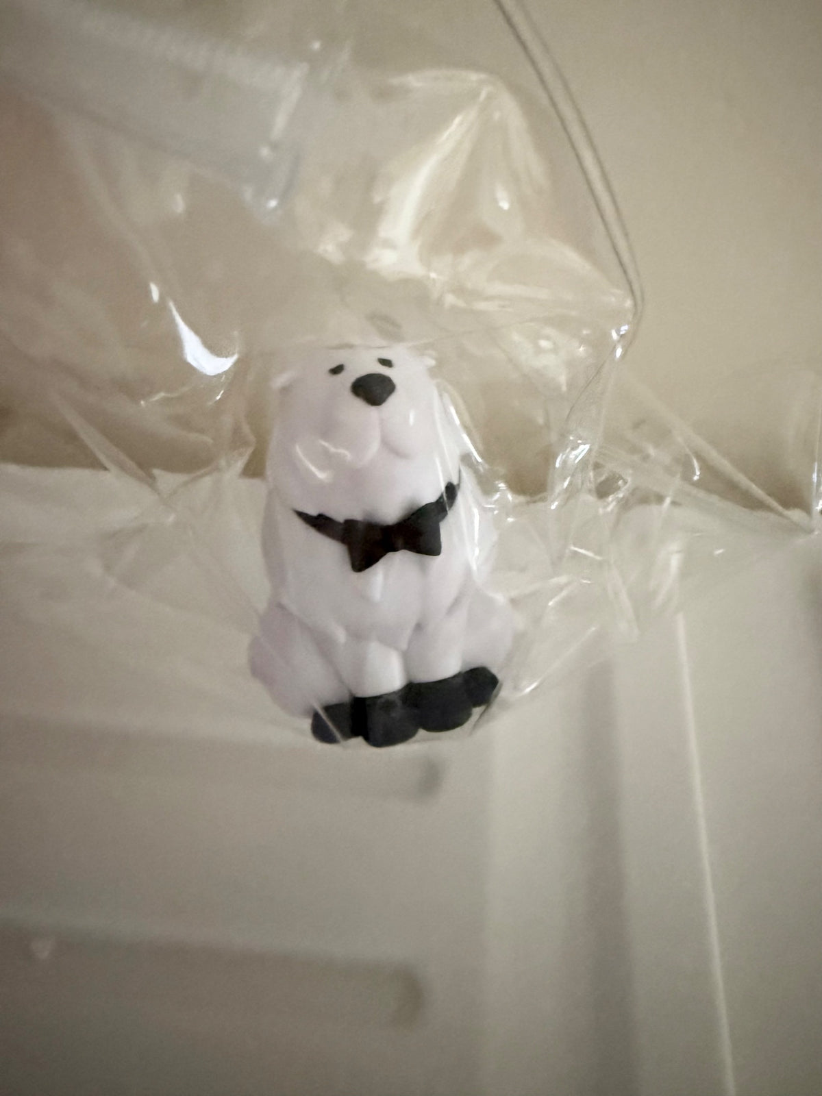 652eb54139e4ab4dc3c1b6b7_img-5296_1751320359562.jpeg