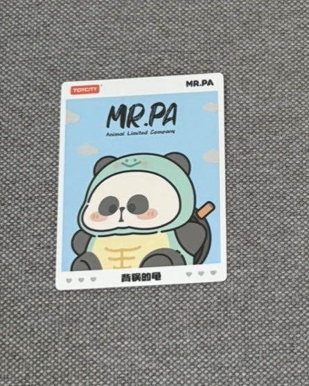 Turtle - Mr. Pa - Animal Limited Company - Toycity