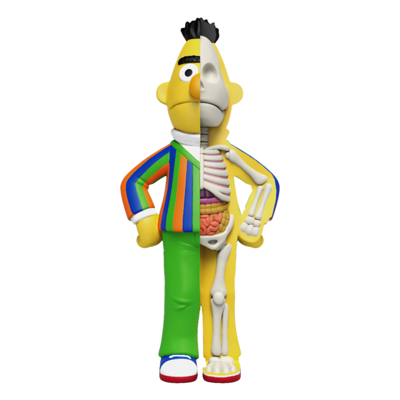 Bert - Sesame Street Hidden Dissectables Series by Jason Freeny x Mighty Jaxx