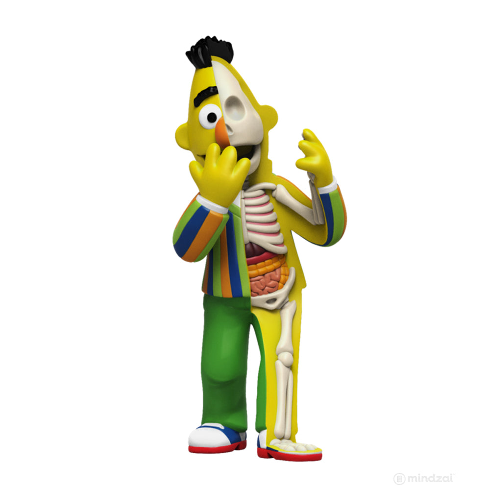 XXRAY Plus Bert and Ernie Sesame Street Art Toy by Jason