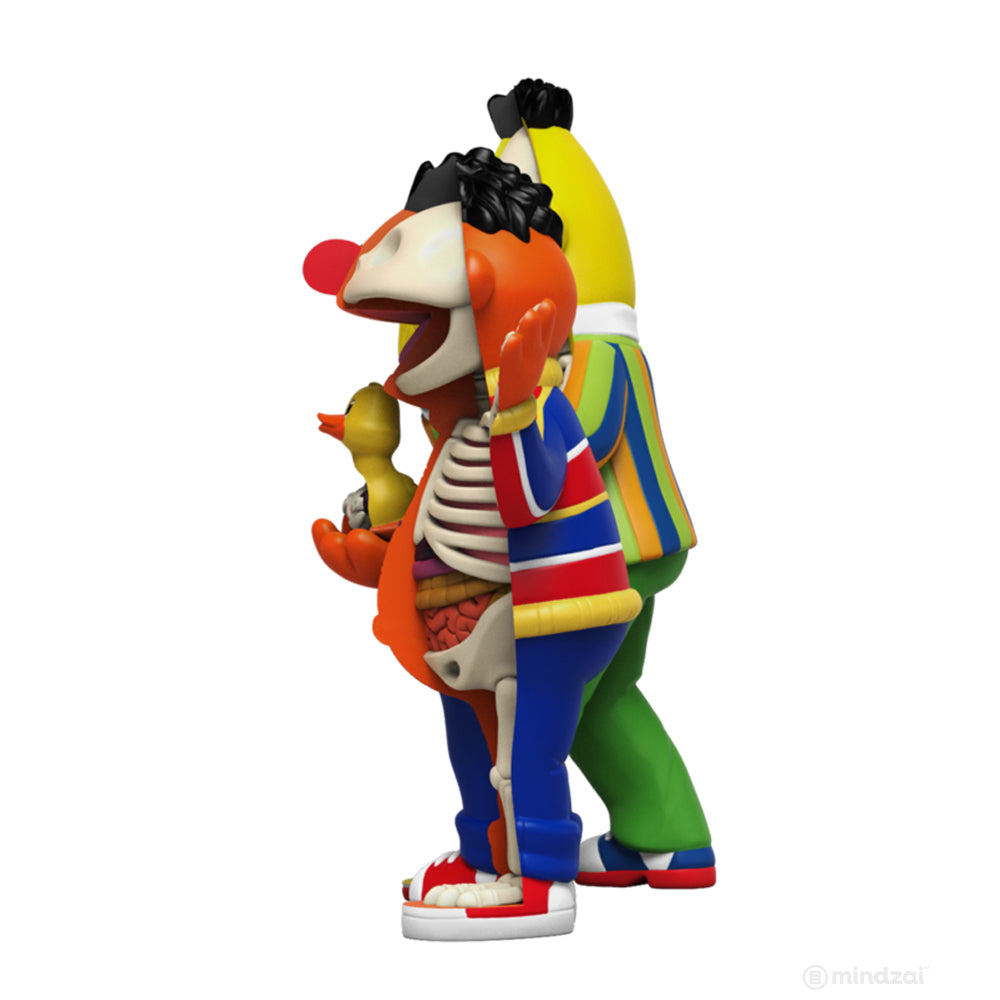XXRAY Plus Bert and Ernie Sesame Street Art Toy by Jason