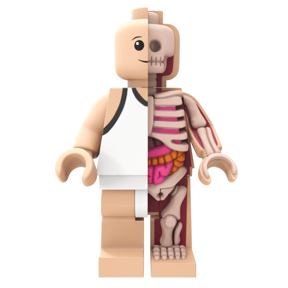 Bigger Micro Anatomic by Jason Freeny x Mighty Jaxx - Pre-order - Mindzai  - 1