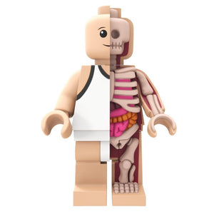 Bigger Micro Anatomic by Jason Freeny x Mighty Jaxx - Pre-order - Mindzai  - 1