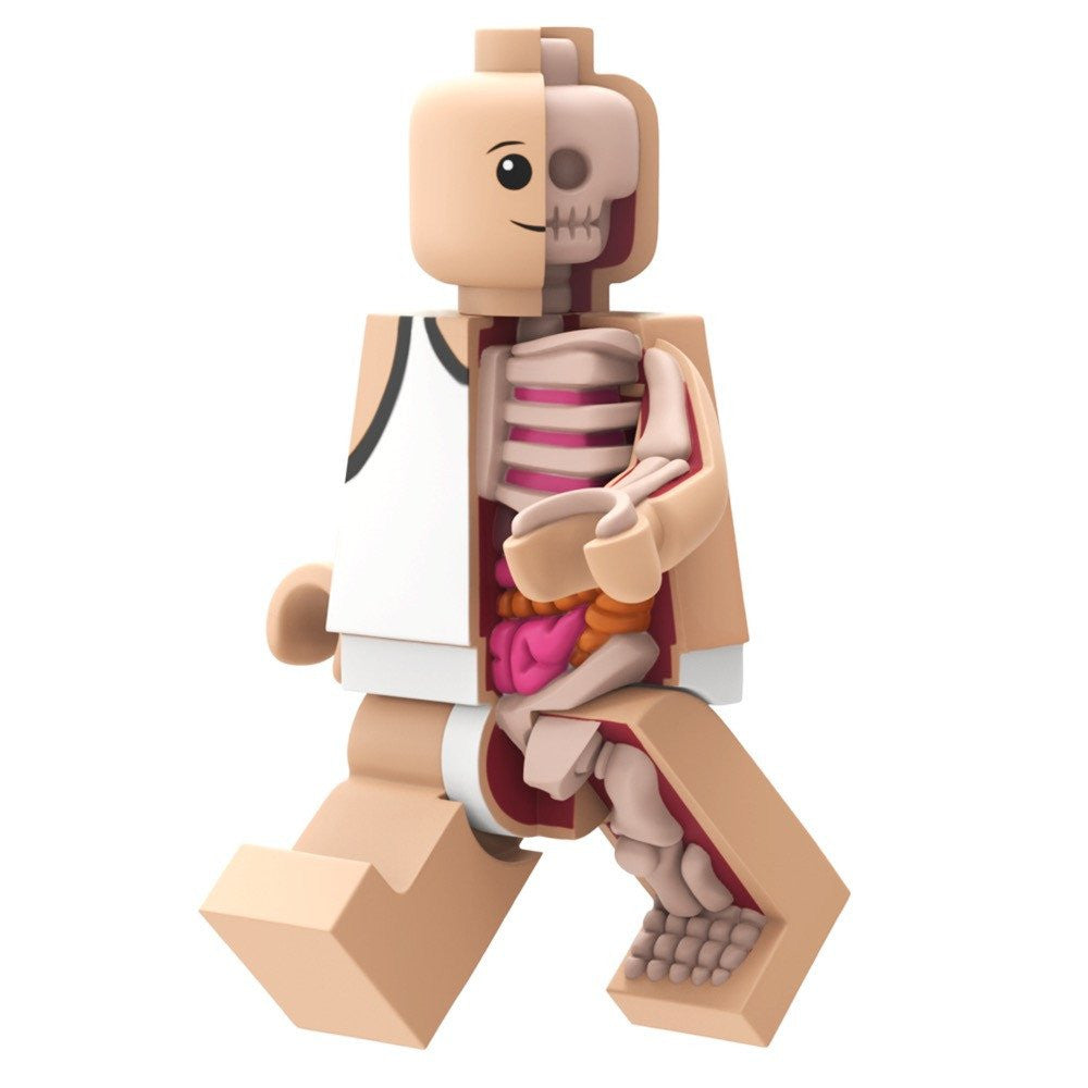 Bigger Micro Anatomic by Jason Freeny x Mighty Jaxx - Pre-order - Mindzai  - 2