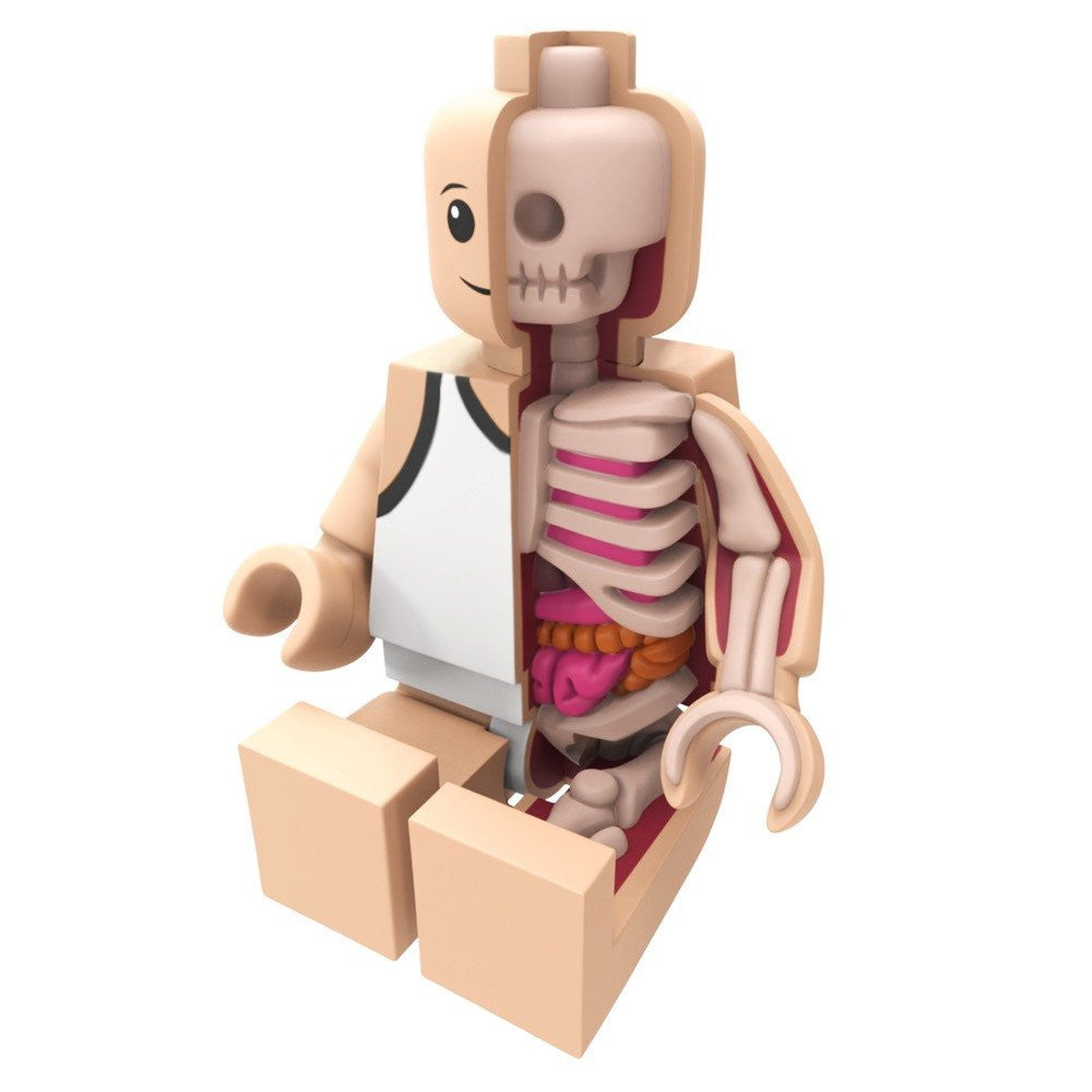 Bigger Micro Anatomic by Jason Freeny x Mighty Jaxx - Pre-order - Mindzai  - 3