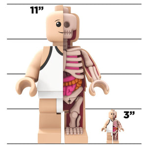 Bigger Micro Anatomic by Jason Freeny x Mighty Jaxx - Pre-order - Mindzai  - 6