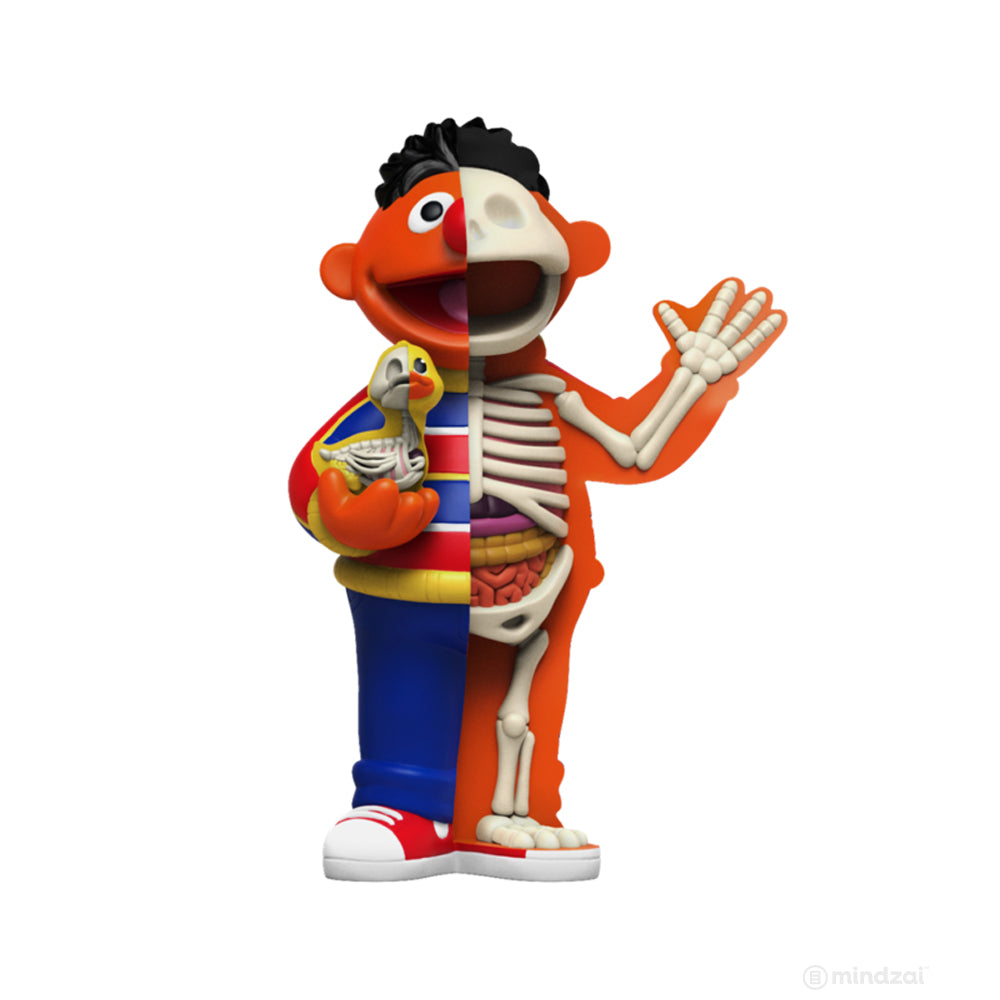 XXRAY Plus Bert and Ernie Sesame Street Art Toy by Jason