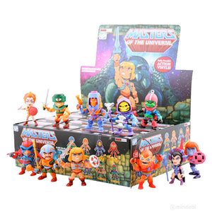 Masters of the Universe Action Vinyls Blind Box Series by The Loyal Subjects - Mindzai  - 2