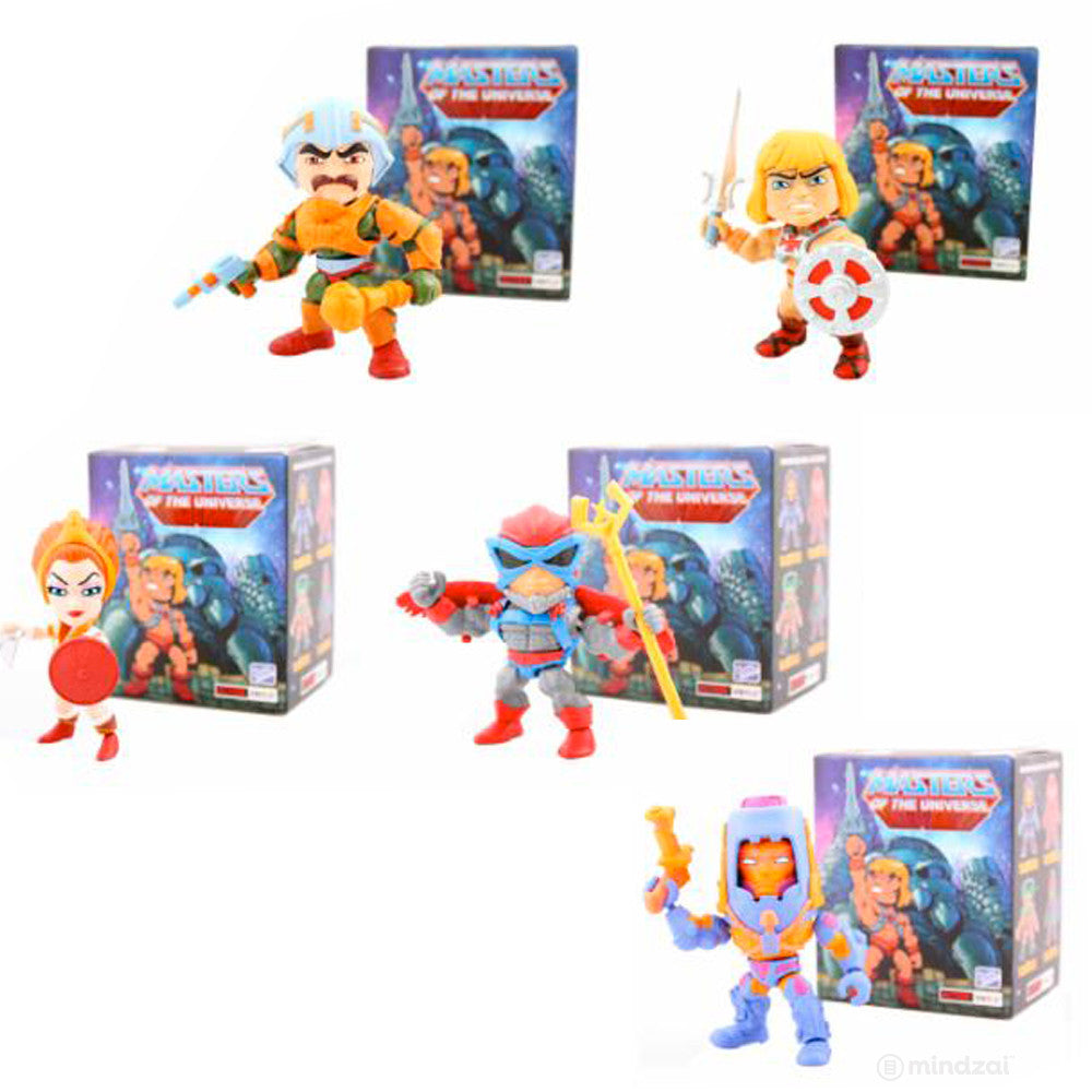 Masters of the Universe Action Vinyls Blind Box Series by The Loyal Subjects - Mindzai  - 3