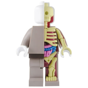 Bigger Micro Anatomic Original Red Edition by Mighty Jaxx x Jason Freeny - Pre-order - Mindzai  - 1