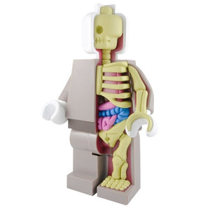 Bigger Micro Anatomic Original Red Edition by Mighty Jaxx x Jason Freeny - Pre-order - Mindzai  - 2