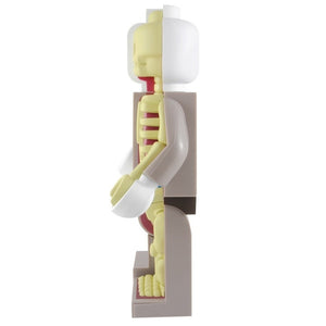 Bigger Micro Anatomic Original Red Edition by Mighty Jaxx x Jason Freeny - Pre-order - Mindzai  - 5