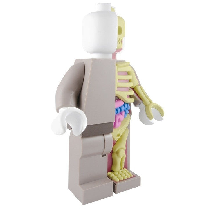 Bigger Micro Anatomic Original Red Edition by Mighty Jaxx x Jason Freeny - Pre-order - Mindzai  - 6