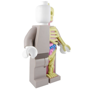 Bigger Micro Anatomic Original Red Edition by Mighty Jaxx x Jason Freeny - Pre-order - Mindzai  - 6