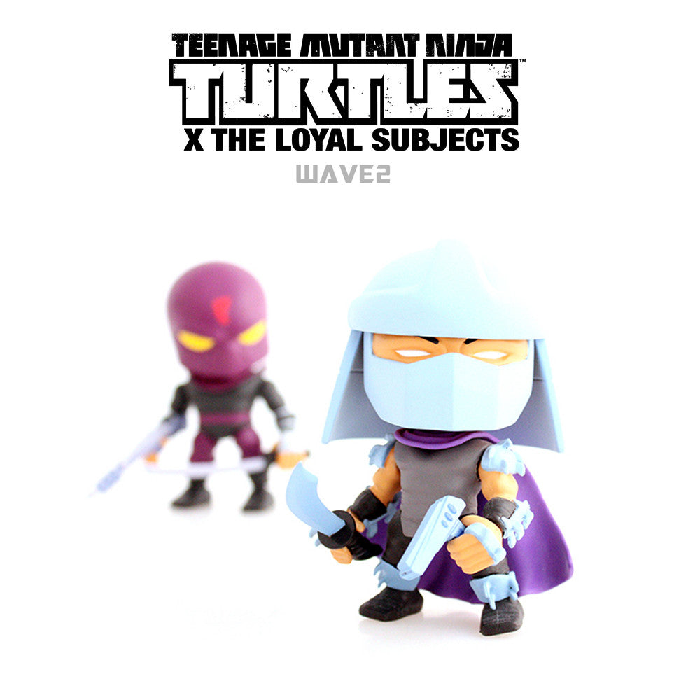 TMNT x The Loyal Subjects Wave 2 Single Blind Box - Mindzai  - 3