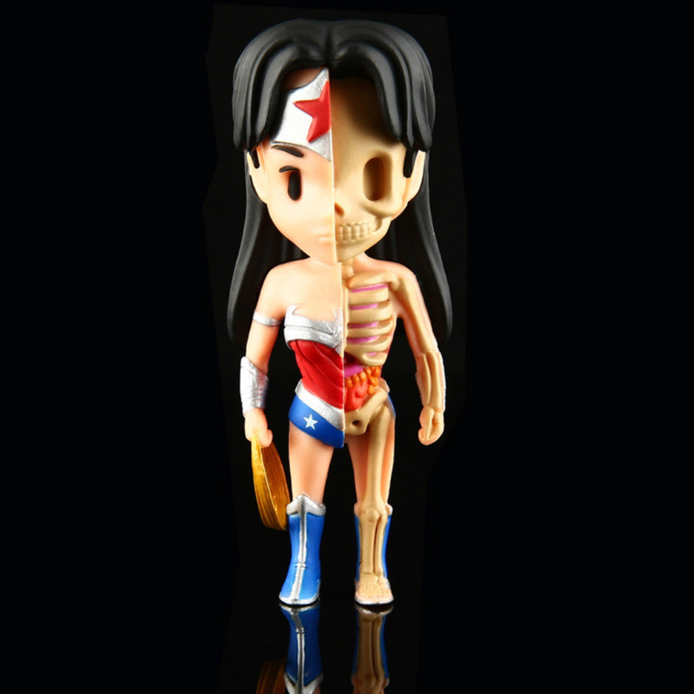 XXRay Wonder Woman by Jason Freeny x Mighty Jaxx - Mindzai  - 1