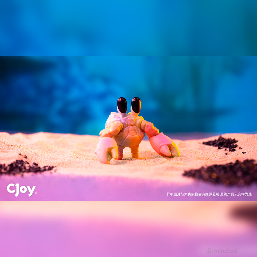 Bubbles Aquatic World Series 1 Blind Box by CJOY