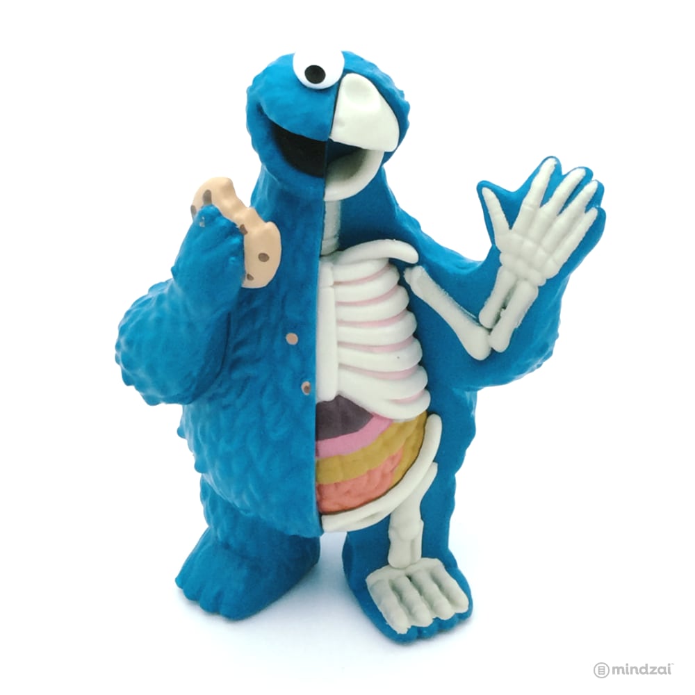 Hidden Dissectables Sesame Street by Jason Freeny x Mighty Jaxx - Cookie Monster