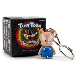 Tiny Toon Adventures Animaniacs Blind Box Keychains by Kidrobot